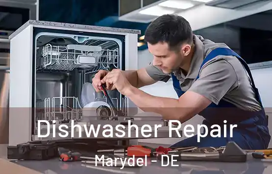  Dishwasher Repair Marydel - DE