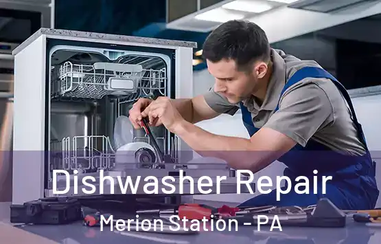  Dishwasher Repair Merion Station - PA