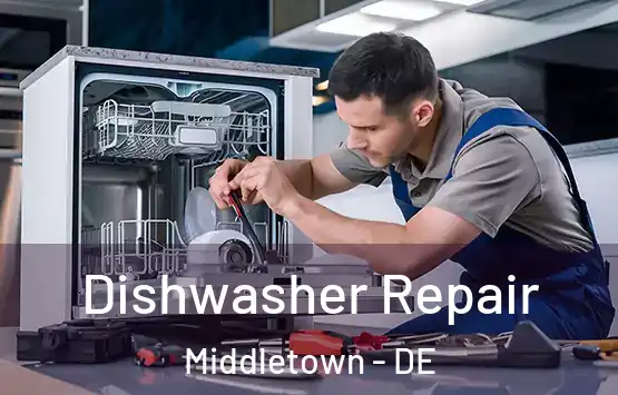  Dishwasher Repair Middletown - DE