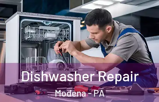  Dishwasher Repair Modena - PA