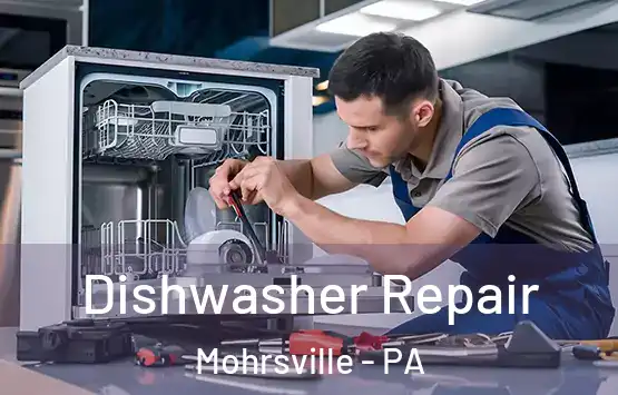  Dishwasher Repair Mohrsville - PA
