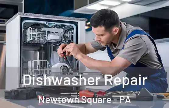  Dishwasher Repair Newtown Square - PA