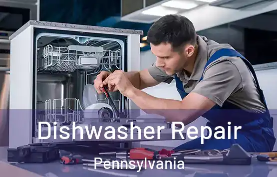  Dishwasher Repair Pennsylvania