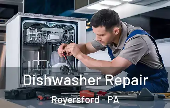  Dishwasher Repair Royersford - PA