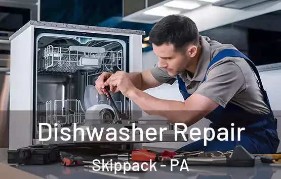  Dishwasher Repair Skippack - PA