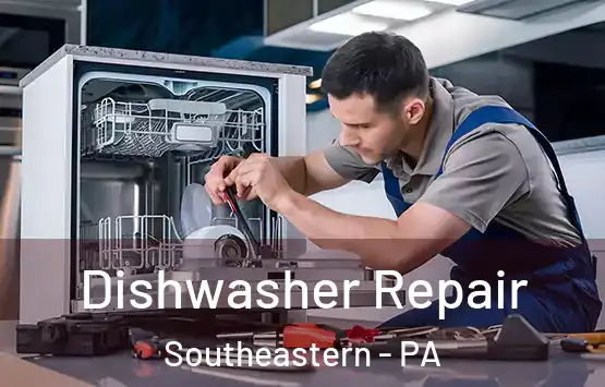  Dishwasher Repair Southeastern - PA