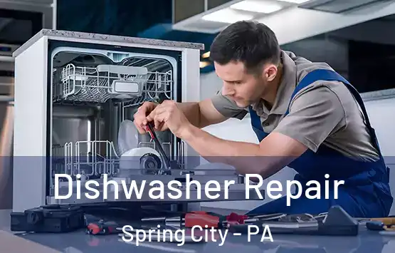  Dishwasher Repair Spring City - PA