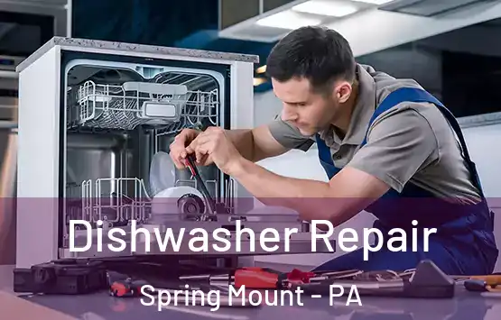  Dishwasher Repair Spring Mount - PA