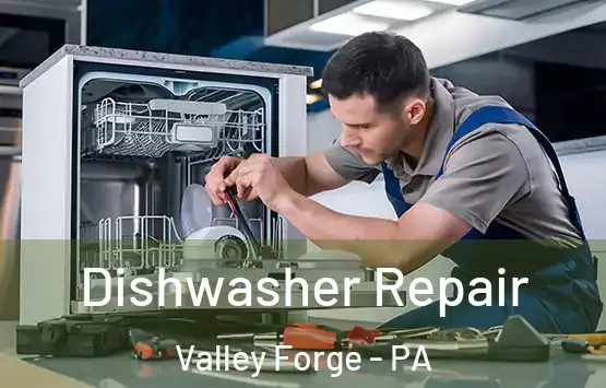  Dishwasher Repair Valley Forge - PA