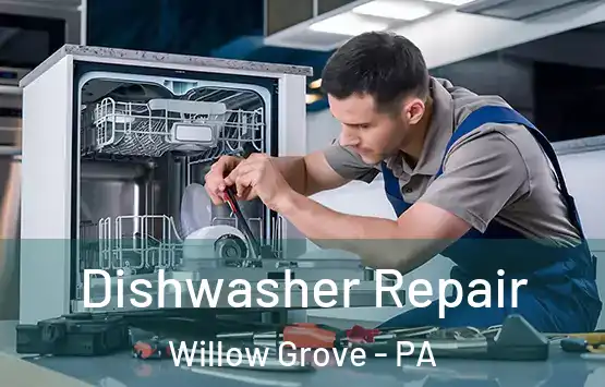  Dishwasher Repair Willow Grove - PA