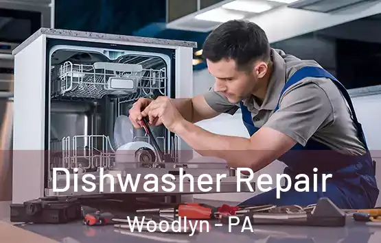  Dishwasher Repair Woodlyn - PA