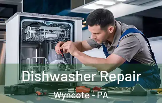  Dishwasher Repair Wyncote - PA