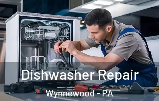  Dishwasher Repair Wynnewood - PA