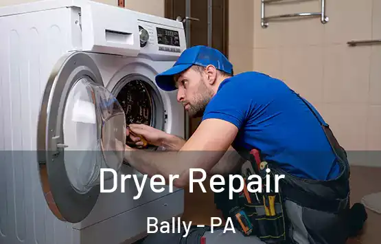  Dryer Repair Bally - PA