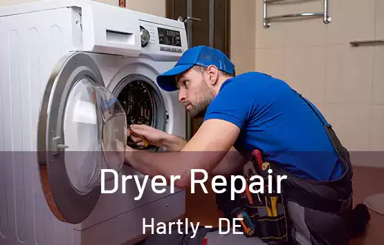  Dryer Repair Hartly - DE