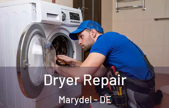  Dryer Repair Marydel - DE