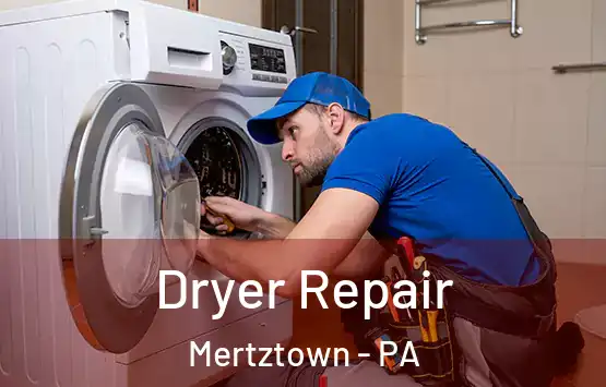  Dryer Repair Mertztown - PA