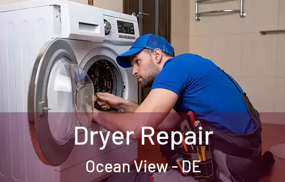  Dryer Repair Ocean View - DE