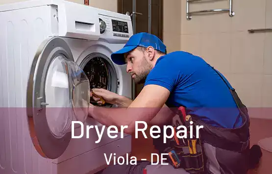  Dryer Repair Viola - DE