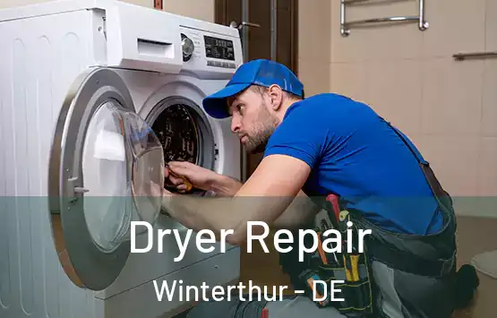  Dryer Repair Winterthur - DE