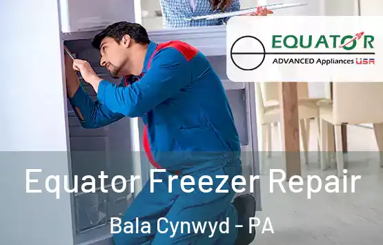  Equator Freezer Repair Bala Cynwyd - PA