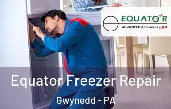  Equator Freezer Repair Gwynedd - PA