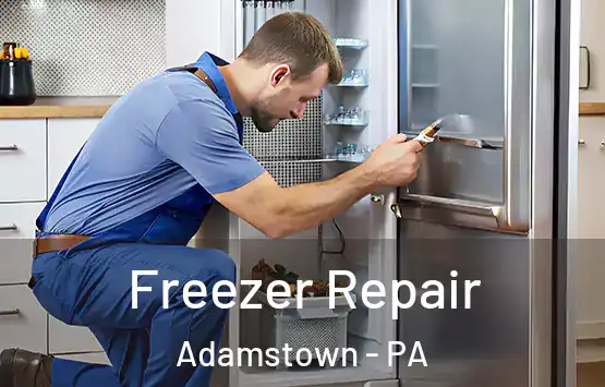  Freezer Repair Adamstown - PA