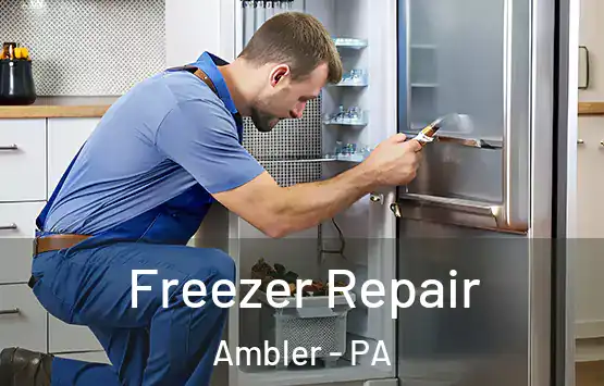  Freezer Repair Ambler - PA