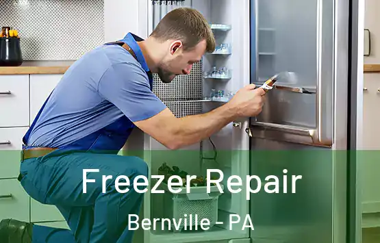  Freezer Repair Bernville - PA