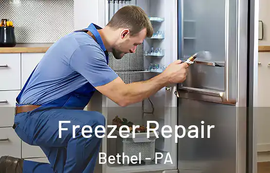  Freezer Repair Bethel - PA