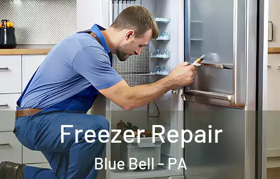  Freezer Repair Blue Bell - PA