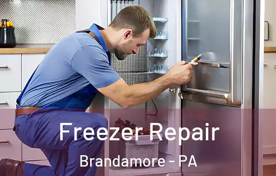  Freezer Repair Brandamore - PA