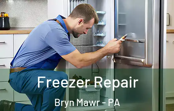  Freezer Repair Bryn Mawr - PA
