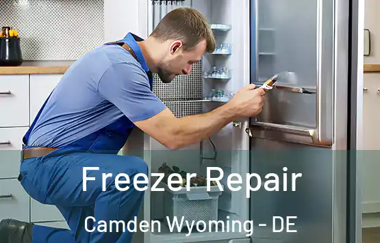  Freezer Repair Camden Wyoming - DE