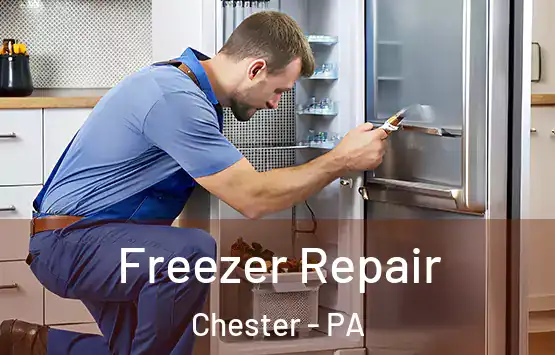  Freezer Repair Chester - PA