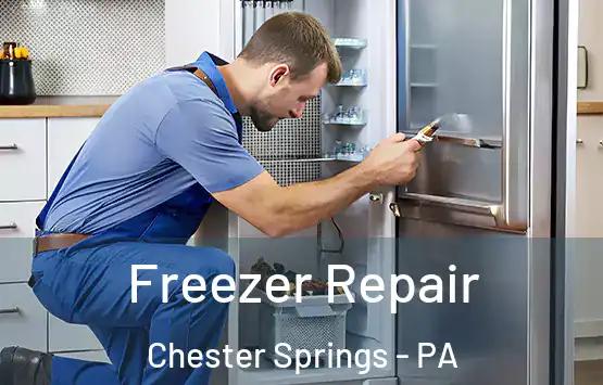  Freezer Repair Chester Springs - PA