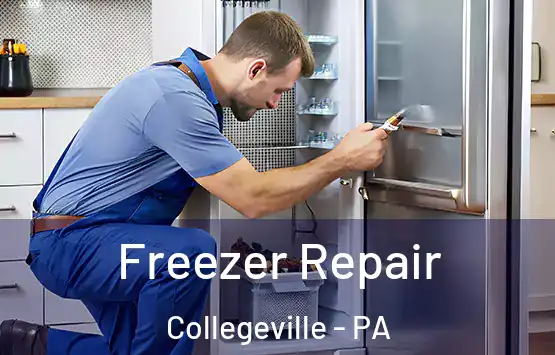  Freezer Repair Collegeville - PA