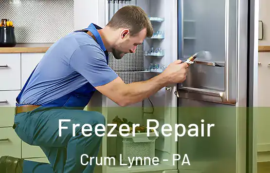  Freezer Repair Crum Lynne - PA