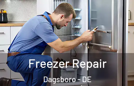  Freezer Repair Dagsboro - DE