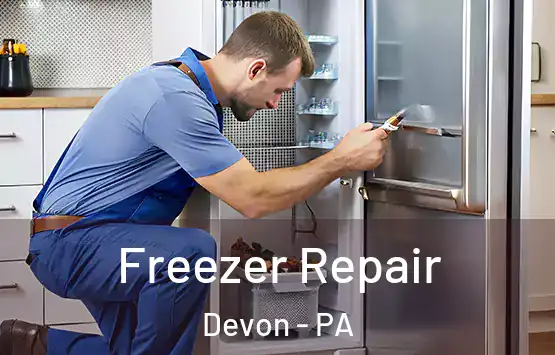  Freezer Repair Devon - PA