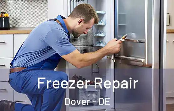  Freezer Repair Dover - DE