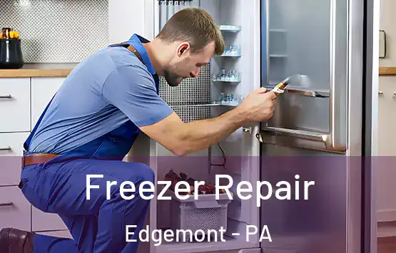  Freezer Repair Edgemont - PA