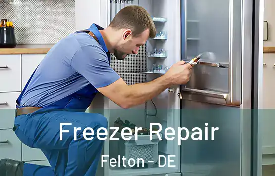  Freezer Repair Felton - DE
