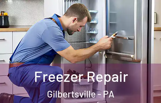  Freezer Repair Gilbertsville - PA