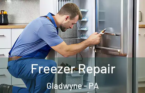  Freezer Repair Gladwyne - PA