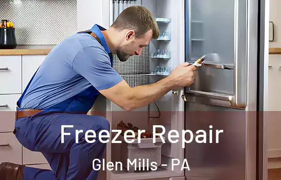  Freezer Repair Glen Mills - PA