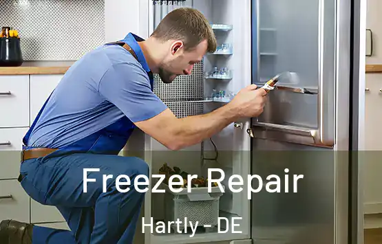  Freezer Repair Hartly - DE