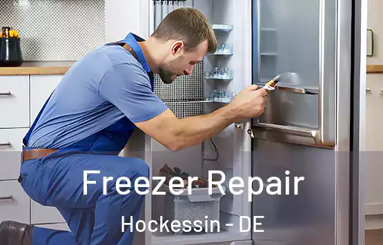  Freezer Repair Hockessin - DE