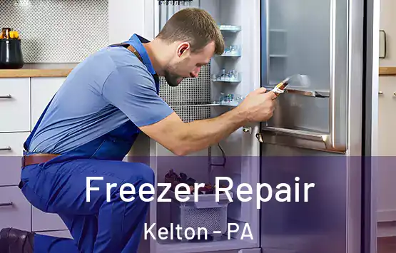  Freezer Repair Kelton - PA