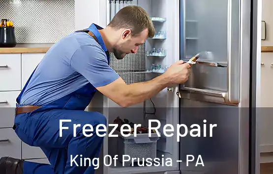  Freezer Repair King Of Prussia - PA